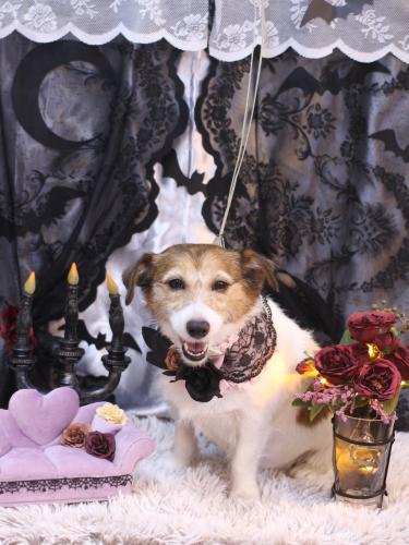 20231003こはるちゃん